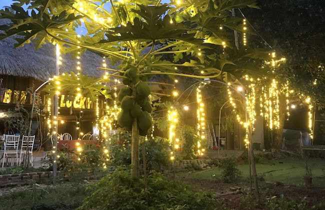 Bee Lucky Homestay - Photo 45