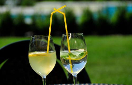 Apparthotel Gartenresidence Nalserhof - Foto 148