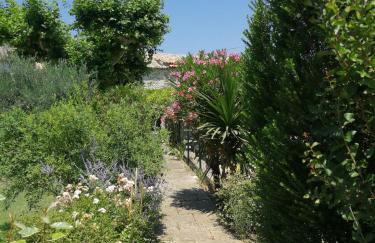 Appartements - Le Mas des Oliviers - Foto 31