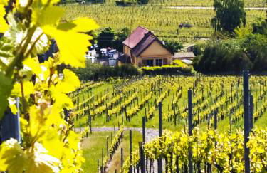 Le p'tit coin de chez nous - Foto 62