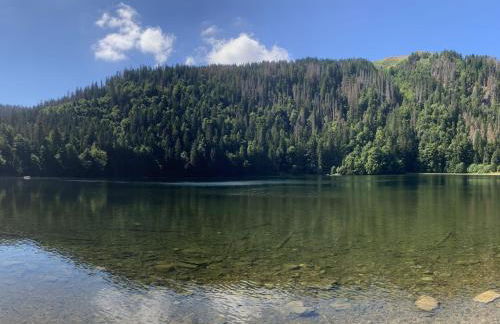 Holiday Home Black Forest Hideaway by Interhome - Foto 16