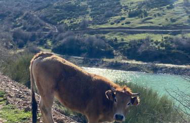 Casa La Puerta - Foto 13