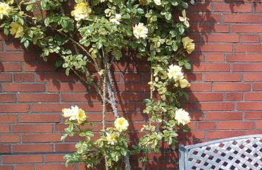 Ferienwohnung Schlingshöhe - Oberwohnung mit separater Terrasse - Foto 20