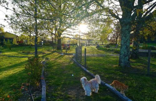 Casa das Palmeiras - Pedagogic Farm - Foto 94