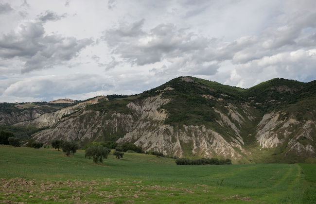 Società Agricola Zucchera S.S. - Foto 4
