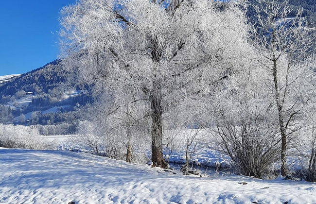 Apartment in Piesendorf Near Ski Slopes - Foto 31