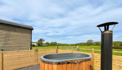 Cwtch Winnie - Uk49708 - Foto 2