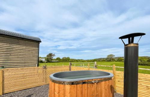 Cwtch Winnie - Uk49708 - Photo 2