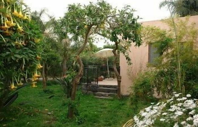 La Grevillea - Foto 10