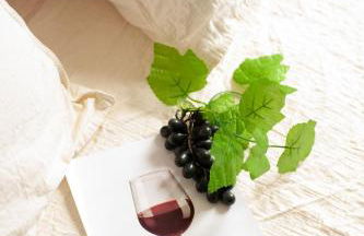 Qualys Vignoble parking, square view, close to city - Foto 7