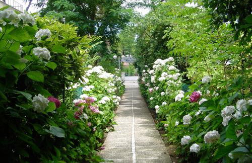 Residence Piccolo - Foto 9