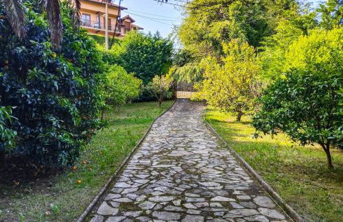 Casa Sebia-Santillana del mar - Foto 20