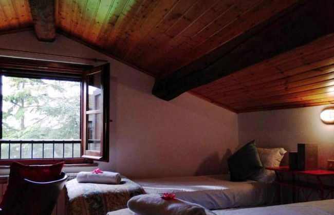 Laurel apt With Shared Pool - Photo 14