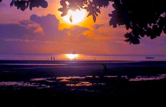 Nagsaguipi River Firefly Watching - Foto 1