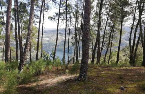 Quinta da Portinha, stunning views of the Douro River - Foto 11