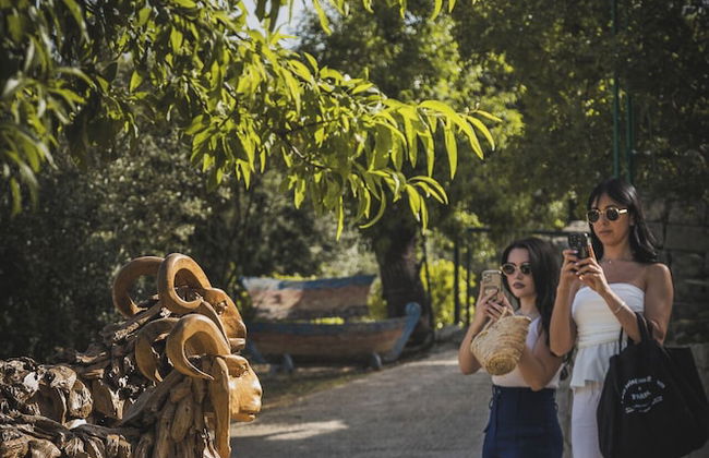 Tenuta Olive Alive - Foto 78