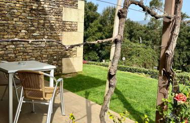 Bosque da Harmonia - Foto 20