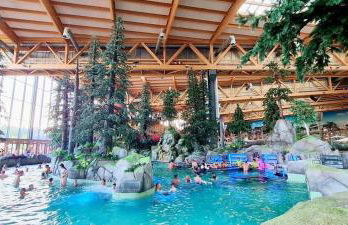 Location grand MH proche europa park 4 personnes - Foto 31