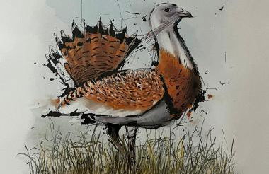 Casas Velhas - Casa da Taberna - Foto 18