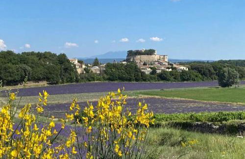 La Parenthèse - Maison avec piscine & jardin privés - Foto 24