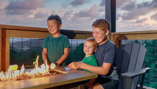 Golden Dawn at Saluda Mountain Retreats - Photo 2