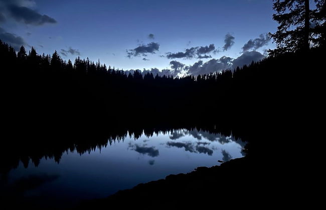 Amazing Historic 1800s Carriage House - Foto 30