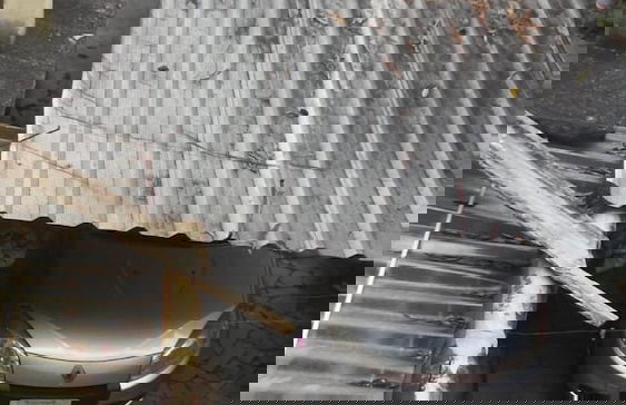 Aconchego dos schreiber - Foto 18