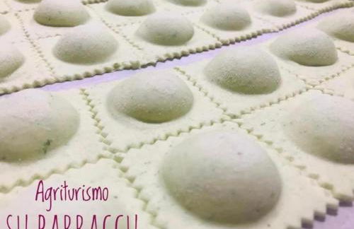 Agriturismo Su Barraccu - Foto 9