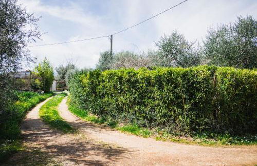 Olive grove house - Foto 4