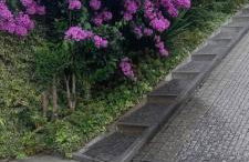 Villa Emma - Foto 34