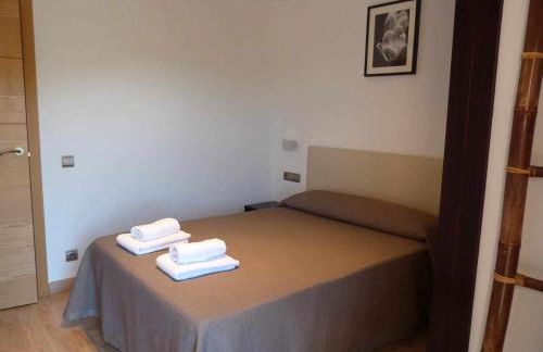 Apartamentos Puerta de Ordesa - Photo 28