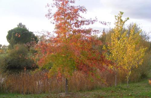 Quinta dos Trevos - Artes e Ofícios - Foto 22