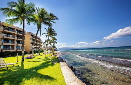 Paki Maui 313 - Foto 23