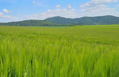 Apartment in Twistetal Oberwaroldern - Photo 72