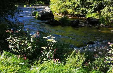 Ferienwohnung Anita Benz - Foto 21