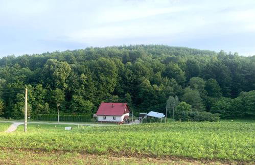 Domek pod lasem - Foto 38