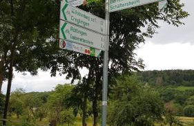 Tauberperle - Photo 11