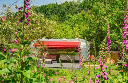 Vintage glamping Airstream with Farm Animals - Foto 14