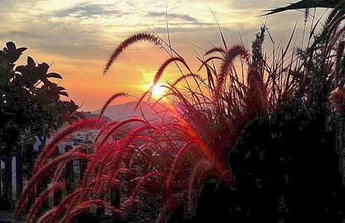 Dreamcatcher Villa - Foto 10