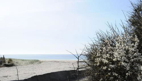 Entre ciel et mer - La maison de la pointe - Foto 3
