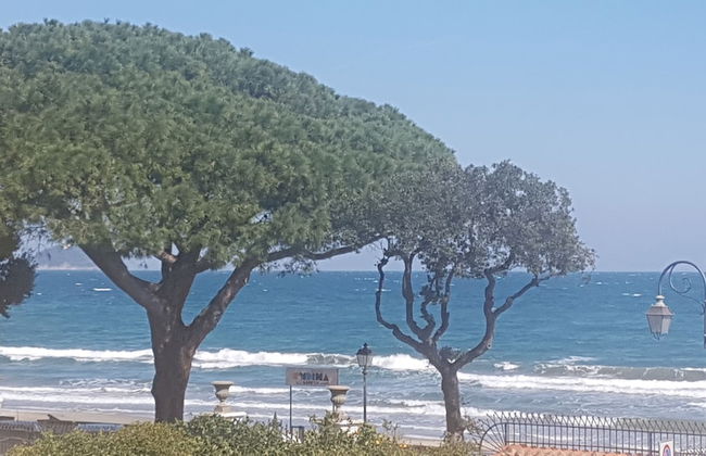 Beach House - Photo 18