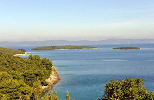 The House Aunt Regina - Foto 57