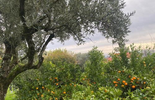 Casa de Santiago - Foto 26