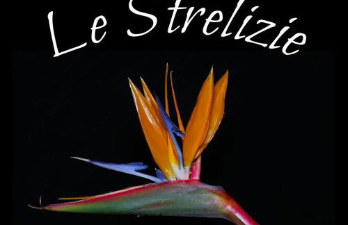Le Strelizie - Foto 22