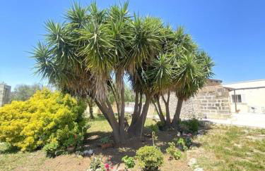 Casolare Giardino Aiarella-Assunta - Foto 46