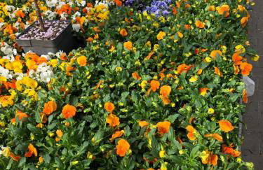 Apartment Wohlfühl-Nest - Foto 9