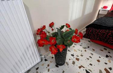 Efesou Luxury Apartment - Foto 8