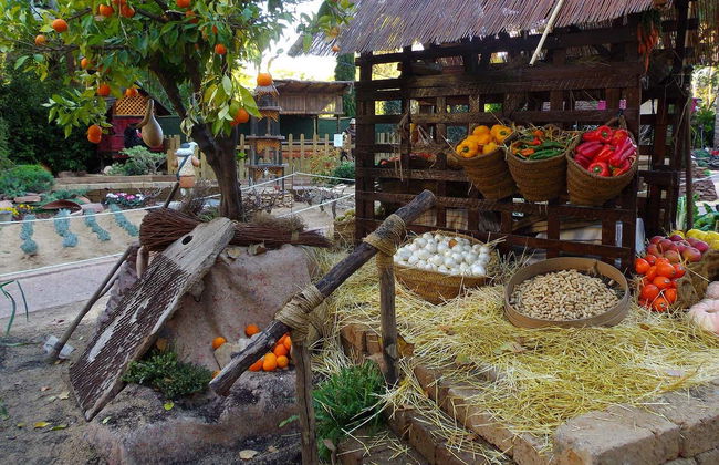 Excursion à Xàtiva, Onteniente et Anna - Photo 5