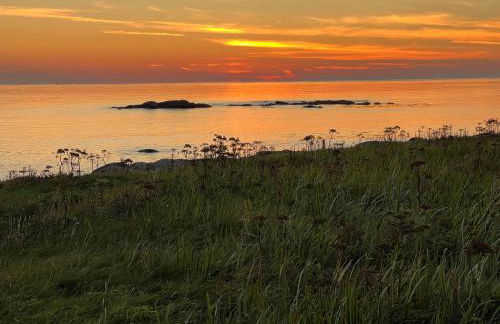 Dun Buidhe - Foto 24