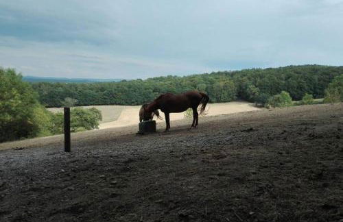 Ferienwohnung/Monteurwohnung am Badesee bei Kassel - Foto 18